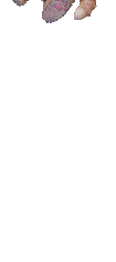 011.gif