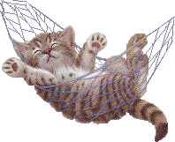012_1.gif