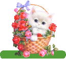 cicagif100.gif