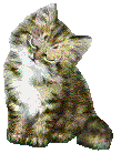 cicagif49.gif