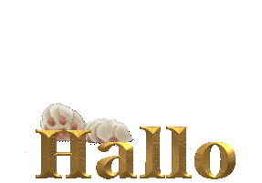 hallo-hello_1_3.gif